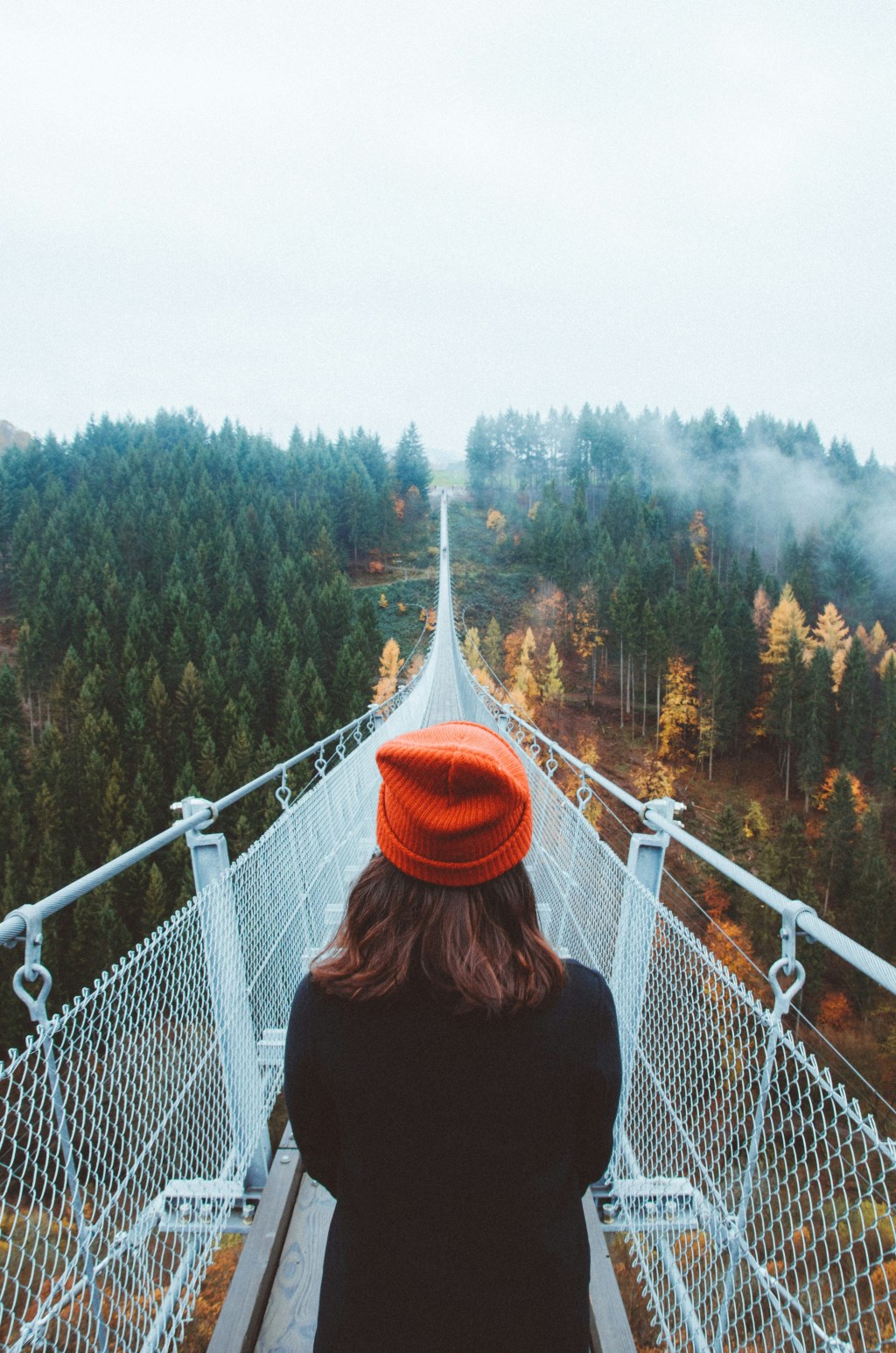 Define your purpose for a plant-based diet